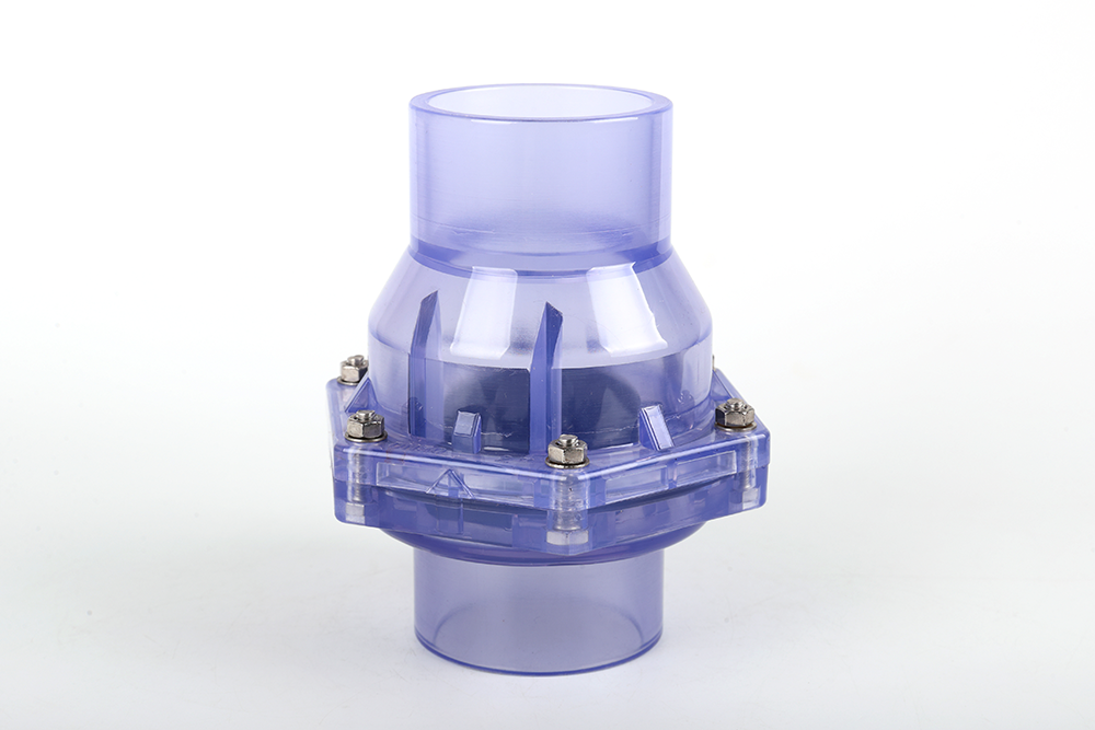 南坤镇透明翻板式止回阀